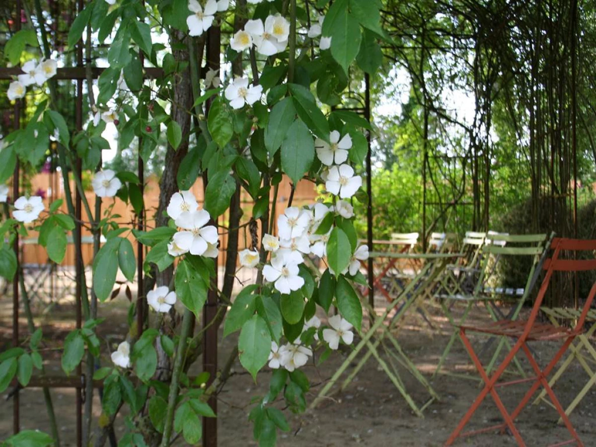 Visitie de la roseraie - les chemins de la rose - Bonjour Fun