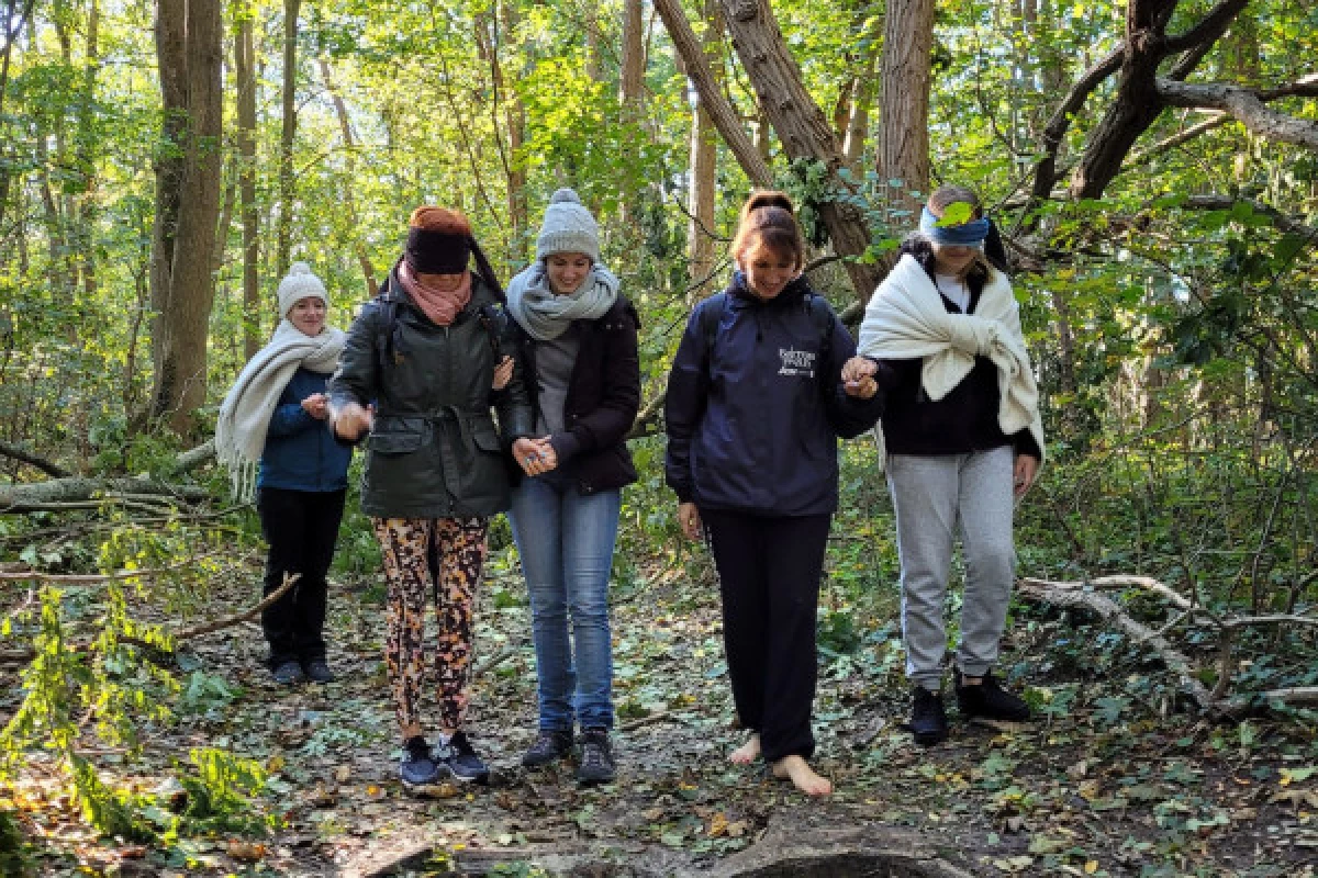 S'apaiser en se reliant à la Nature - BAIN DE FORET - Bonjour Fun