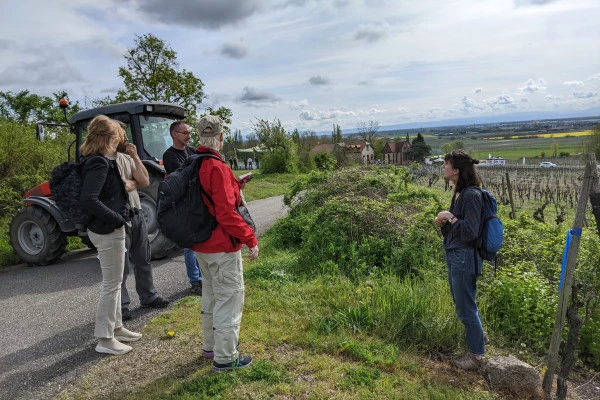 SCHERWILLER #7 - Atelier Tournée des Terroirs - Promenade floristique sur le Rittersberg - Bonjour Fun