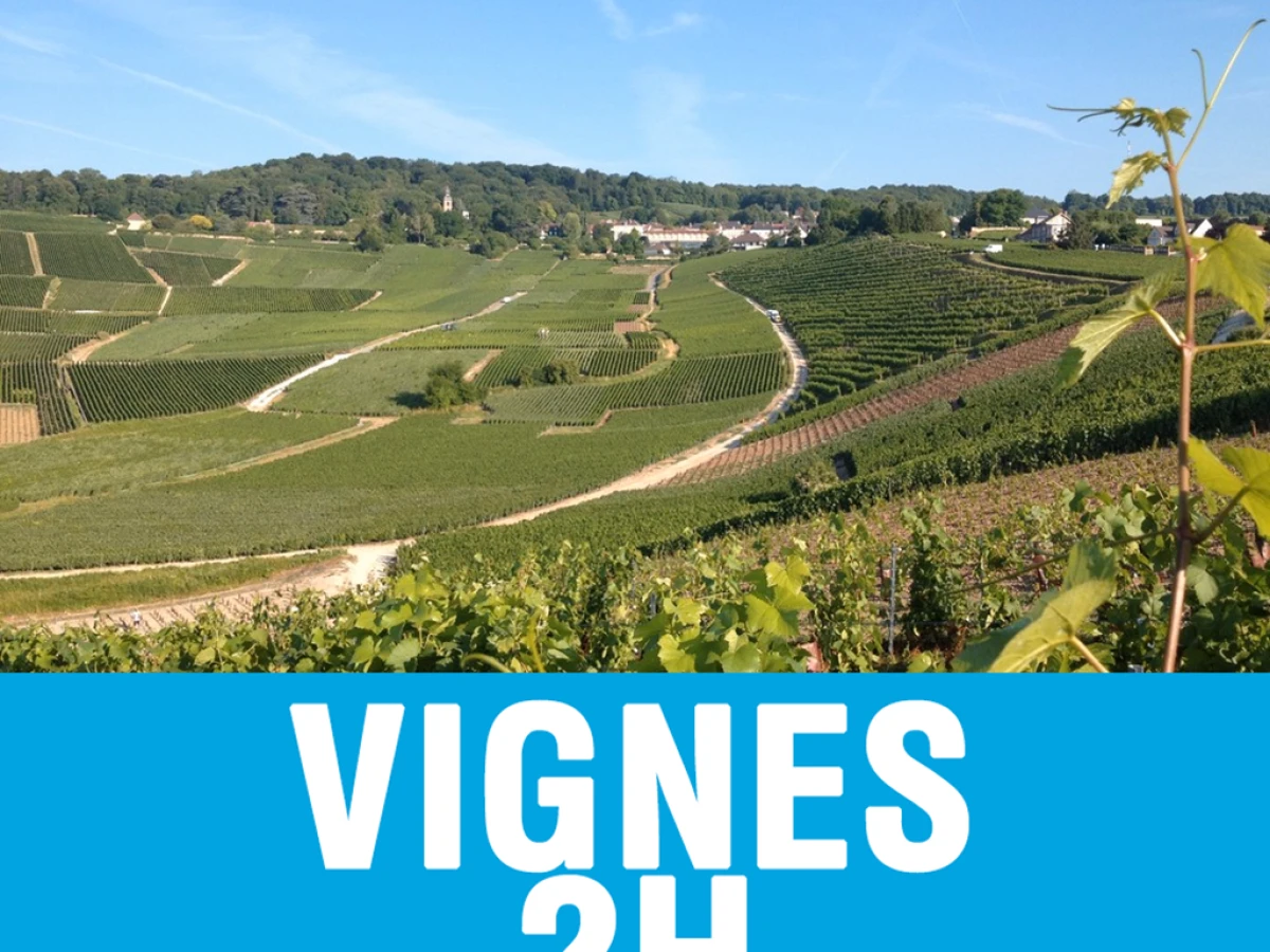 SEGWAY TOUR - BALADE DANS LES VIGNES HAUTVILLERS 1H30 - Bonjour Fun