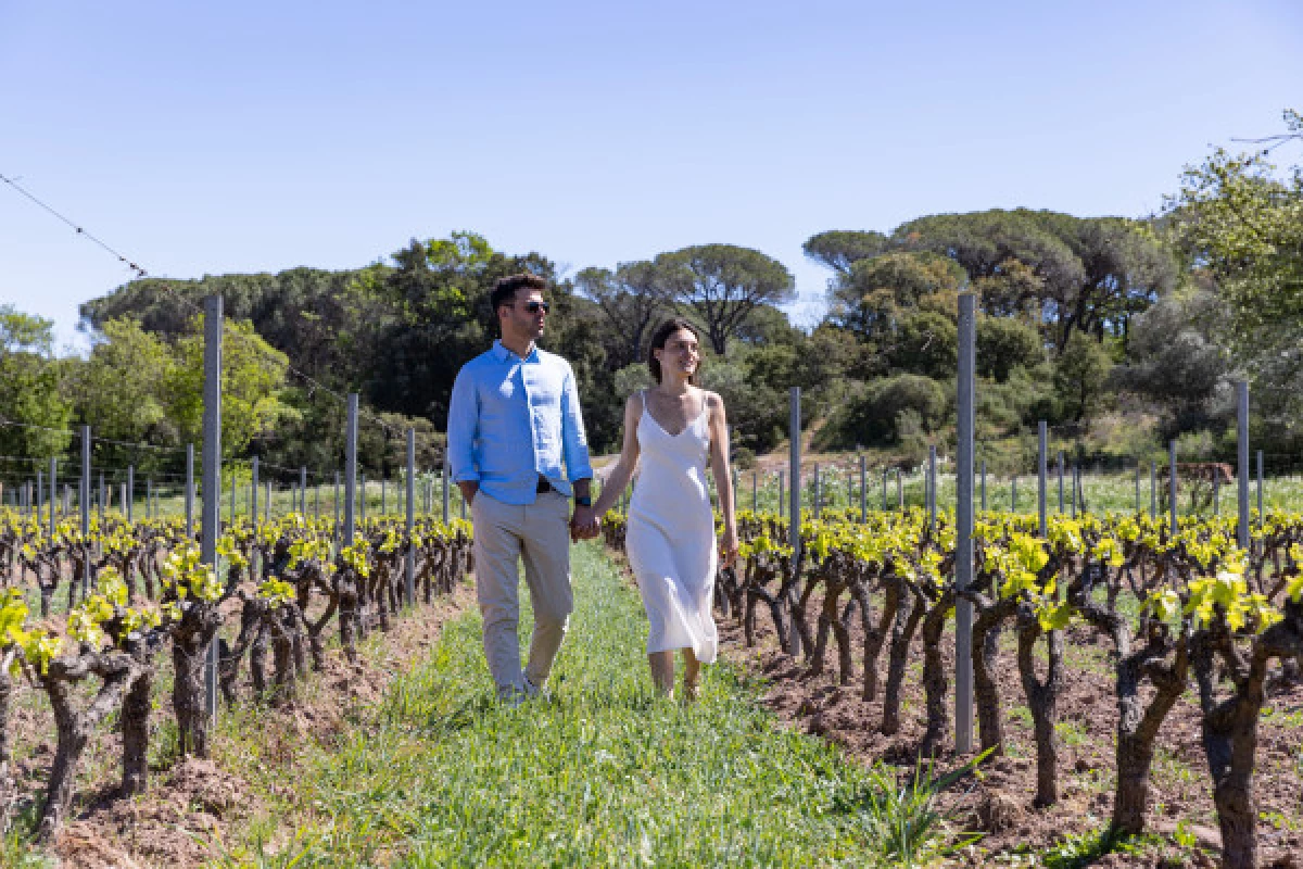 Séjour Pause romantique au cœur d'un vignoble de charme - Fréjus - Bonjour Fun