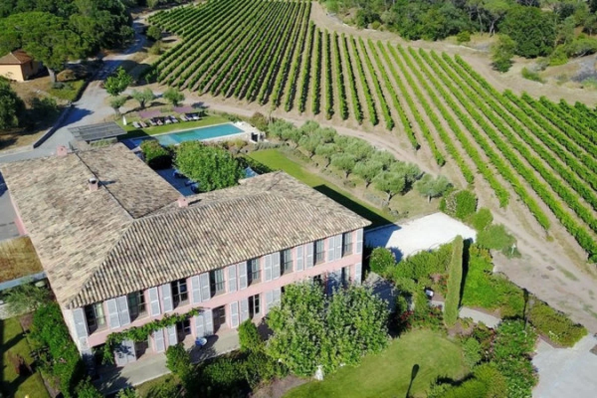 Séjour Saint Valentin au cœur d'un vignoble de charme - Fréjus - Bonjour Fun