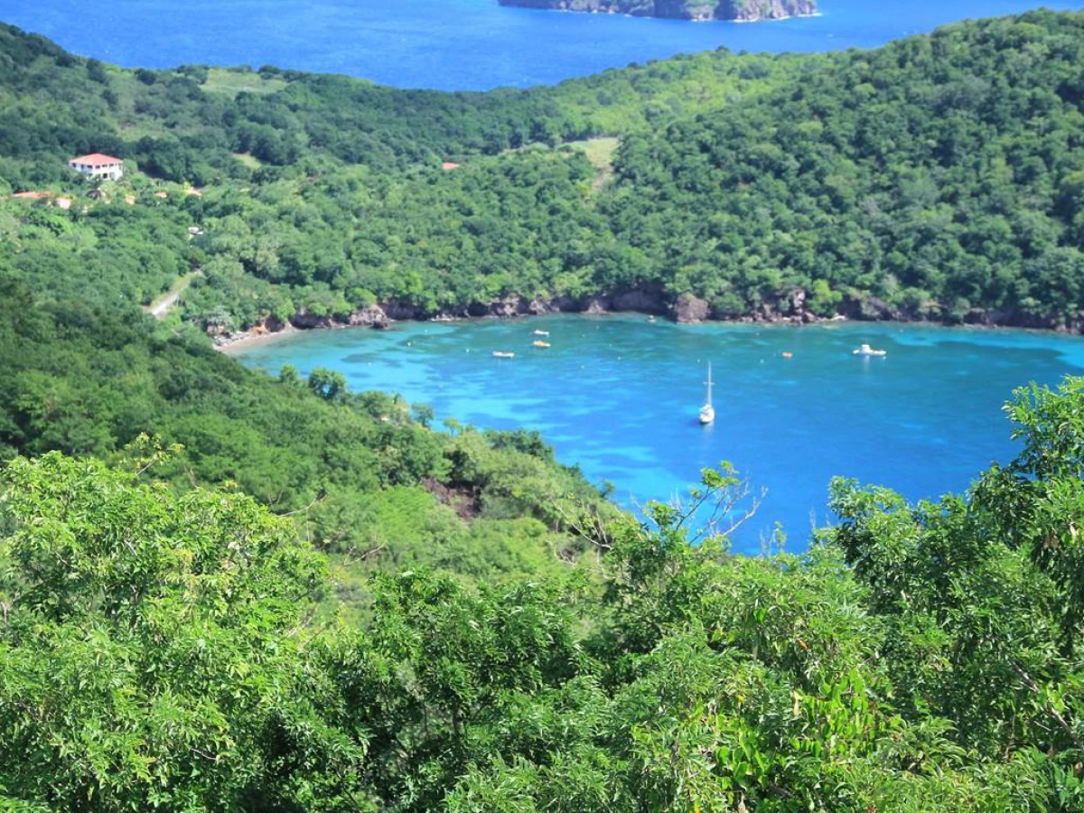 Sérénité : Navette Maritime vers Terre-de-Bas - Bonjour Fun