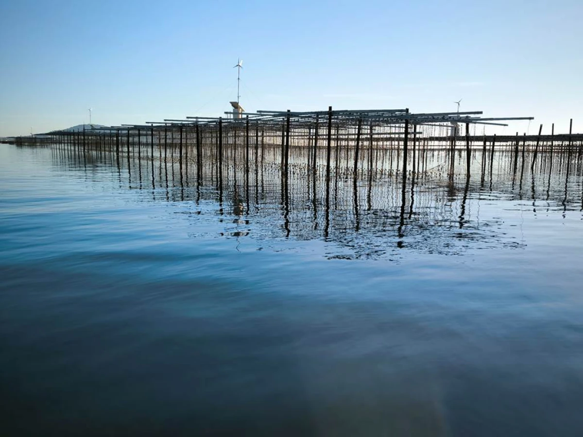 Sète et les petits port de la Lagune - Bonjour Fun