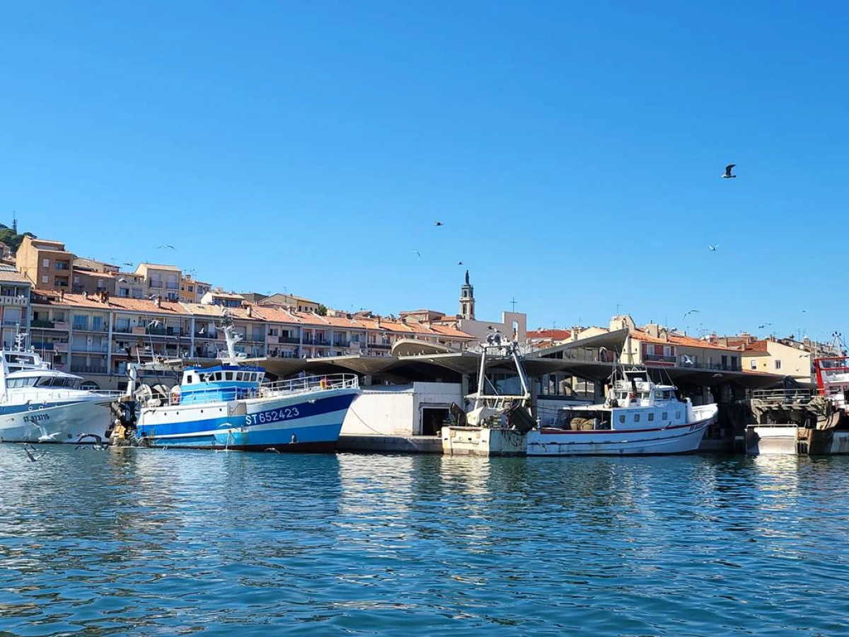 Promenade en bateau à Sète - Bonjour Fun