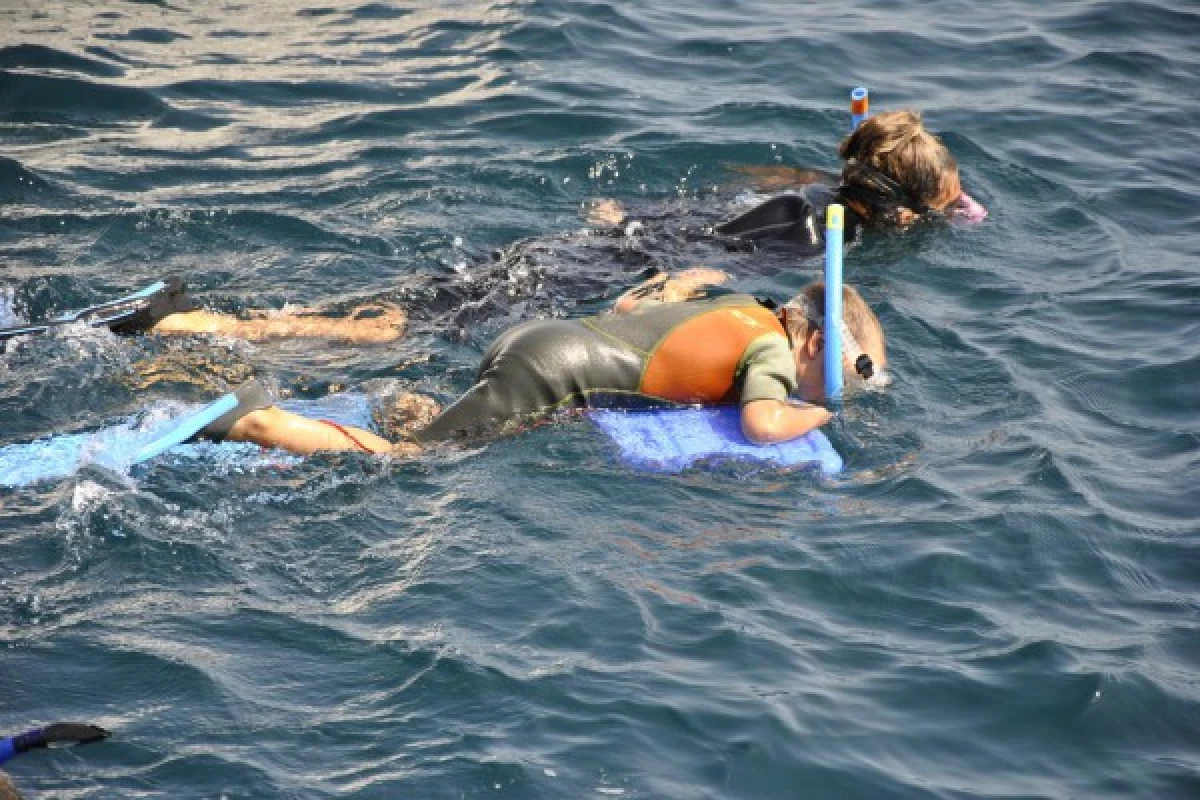 Snorkeling supervised with instructor - Les Issambres - Bonjour Fun