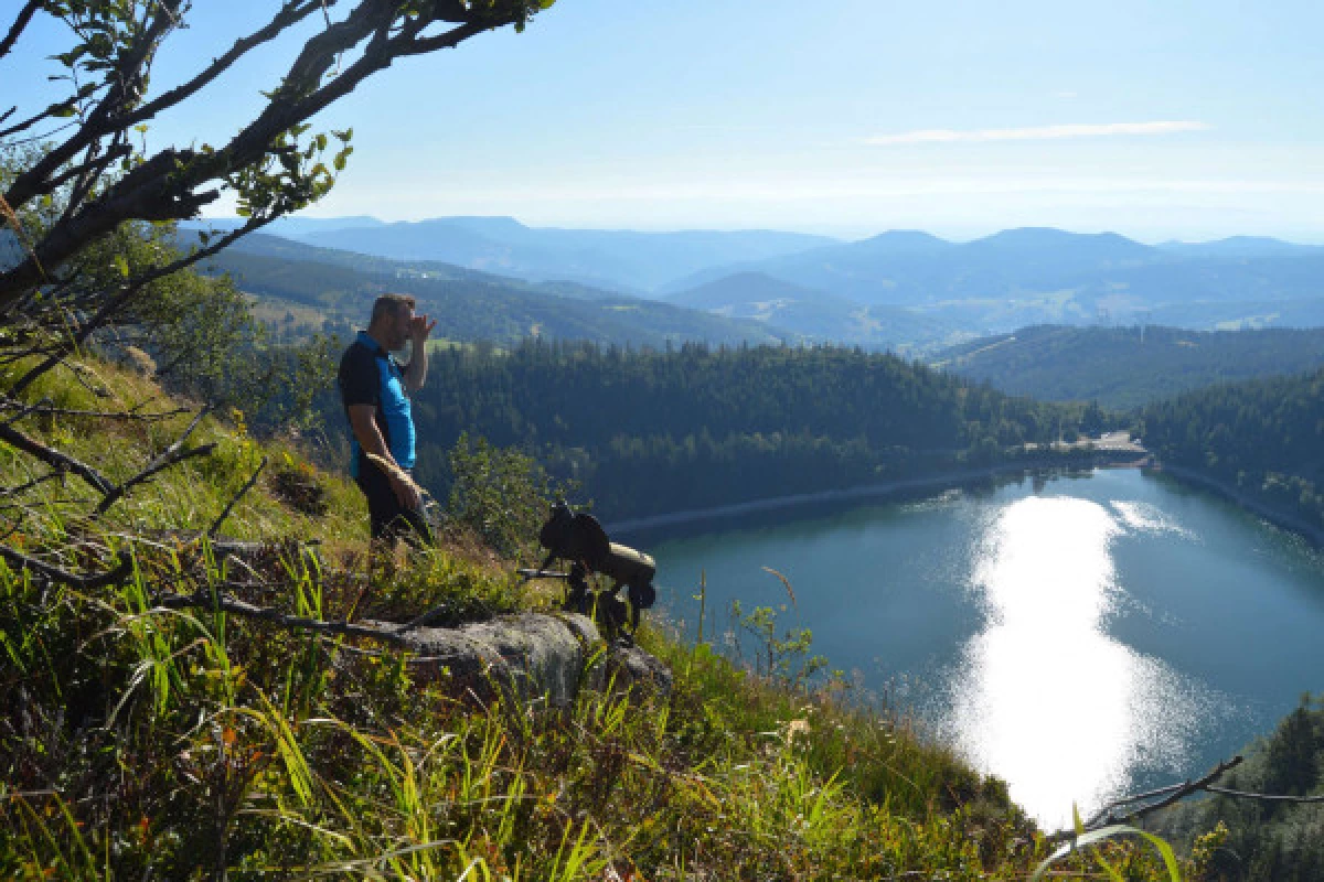 Sortie 'A la rencontre des chamois' - Bonjour Fun