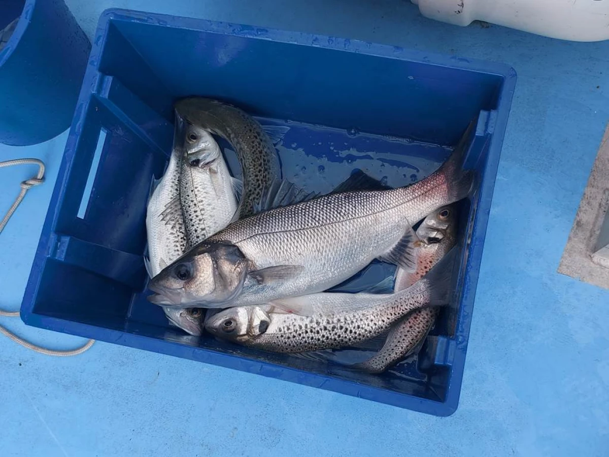 Sortie de Pêche en Mer autour du Phare du Cordouan - Bonjour Fun