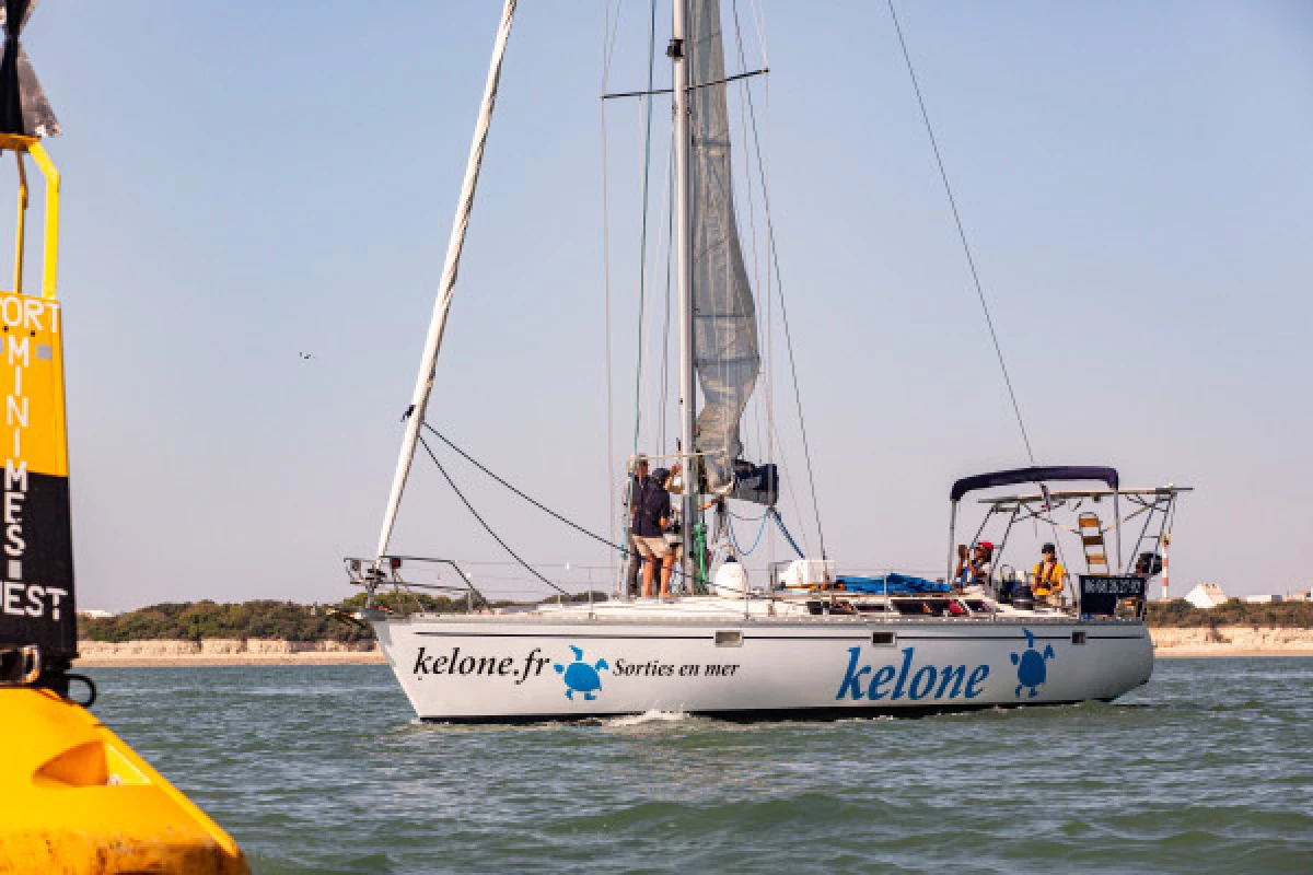 SORTIE EN MER APRES-MIDI - Bonjour Fun