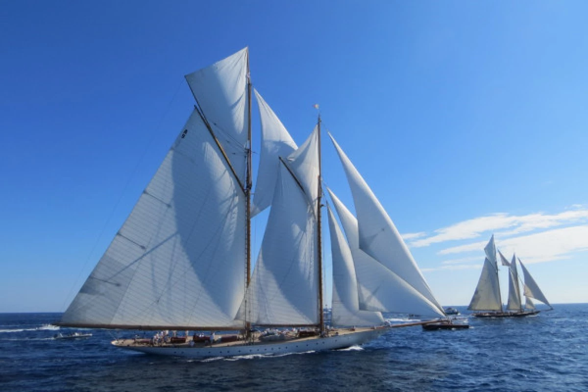 Sortie en mer de Saint Raphaël - Les Voiles de Saint Tropez - Bonjour Fun