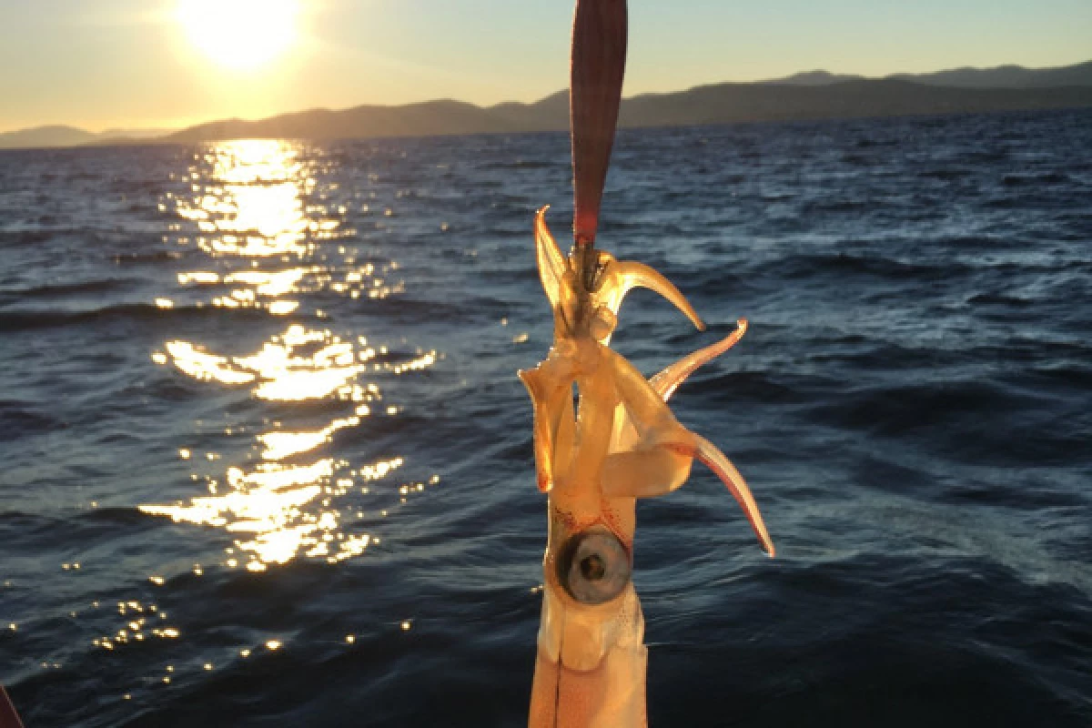 Sortie Pêche Côtière & familiale en bateau - Bonjour Fun