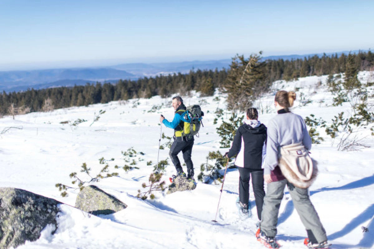 Sortie raquettes en famille - Bonjour Fun