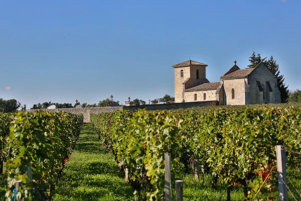 St-Emilion : Heritage  and Tradition - Bonjour Fun