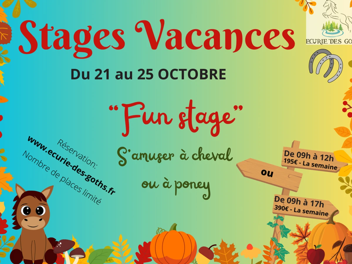 Stage toussaint du 21 au 25 Octobre - Bonjour Fun