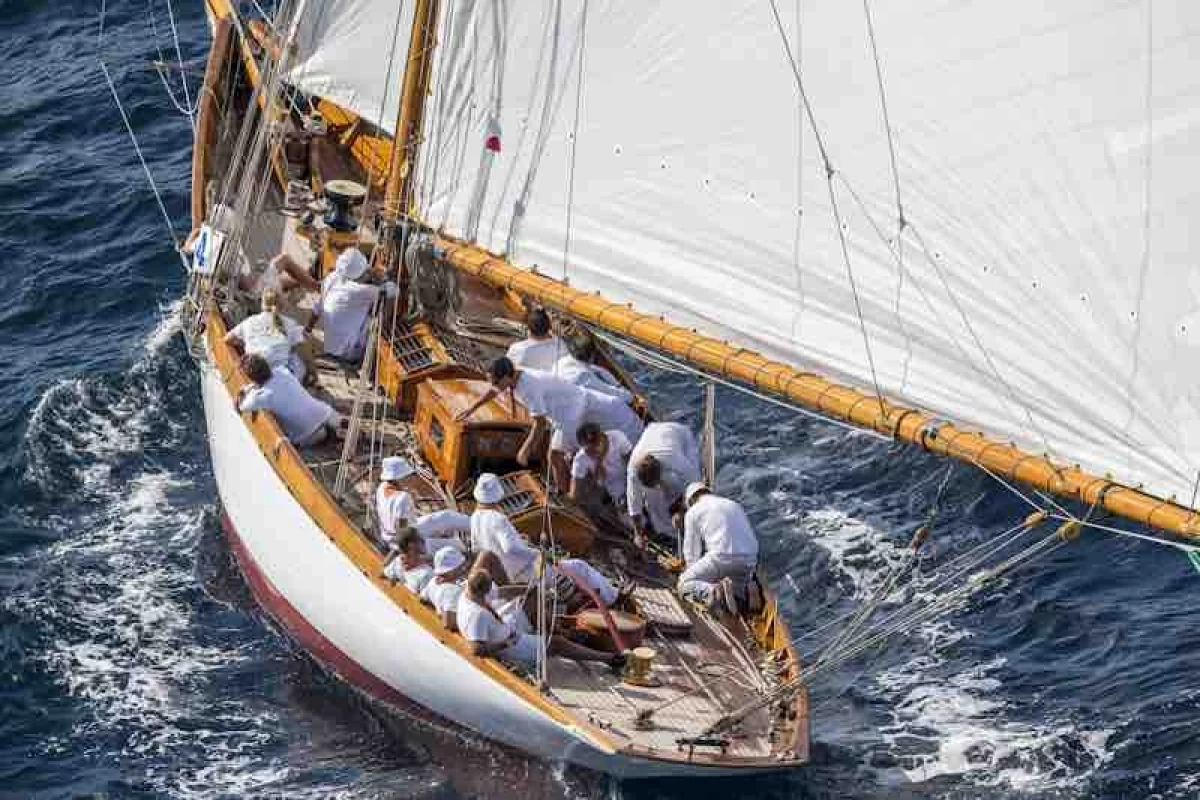 Suivi des voiles de Saint Tropez - Bonjour Fun