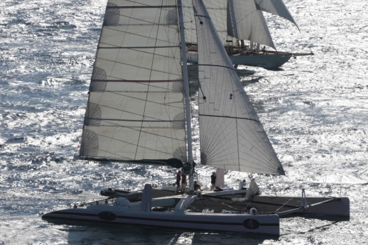 Suivre la Régate des voiles de St Tropez en Catamaran - Bonjour Fun