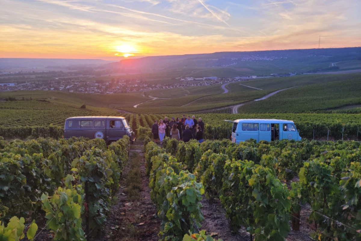 Sunset Champagne Tour au départ d'Epernay - Bonjour Fun