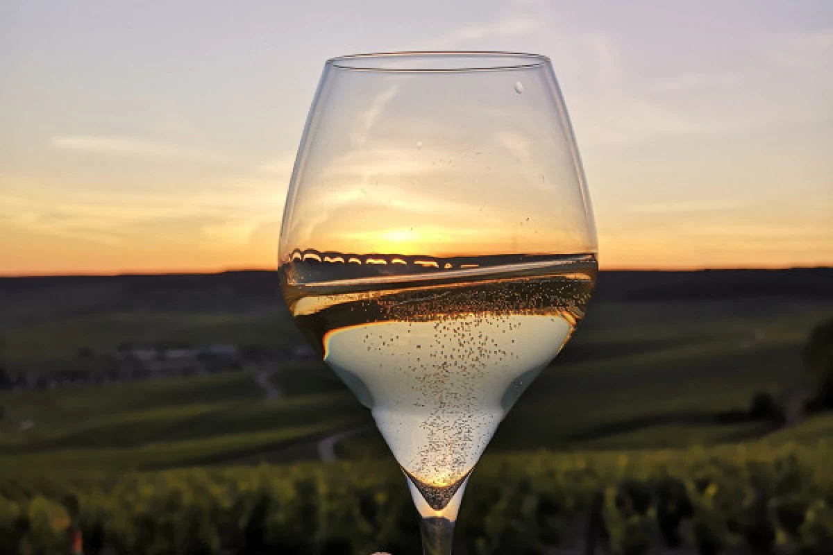 Sunset Champagne Tour au départ d'Epernay - Bonjour Fun