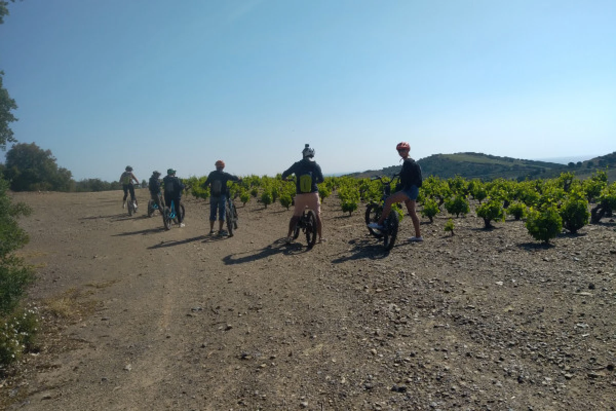 TERRES DES TEMPLIERS - Bonjour Fun