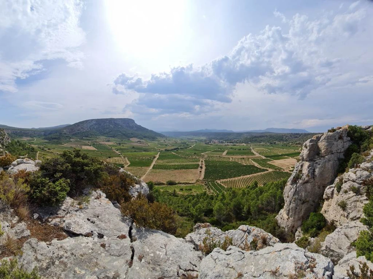 Terroirs cachés de l’Arrière Pays - Bonjour Fun