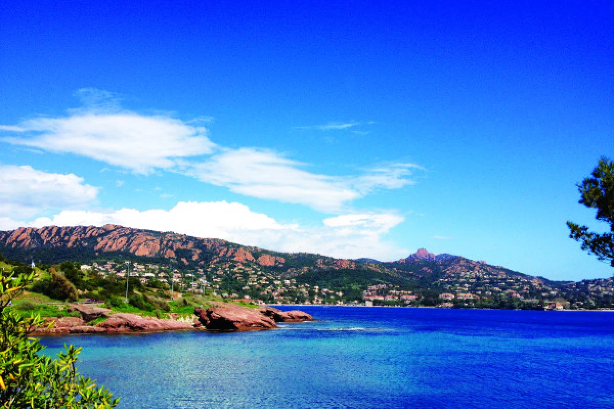 Tour de bouées Canapé assis - Agay - Bonjour Fun