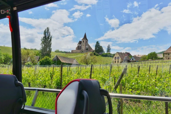 Tour des "Perles du Vignoble" depuis Strasbourg - Bonjour Fun