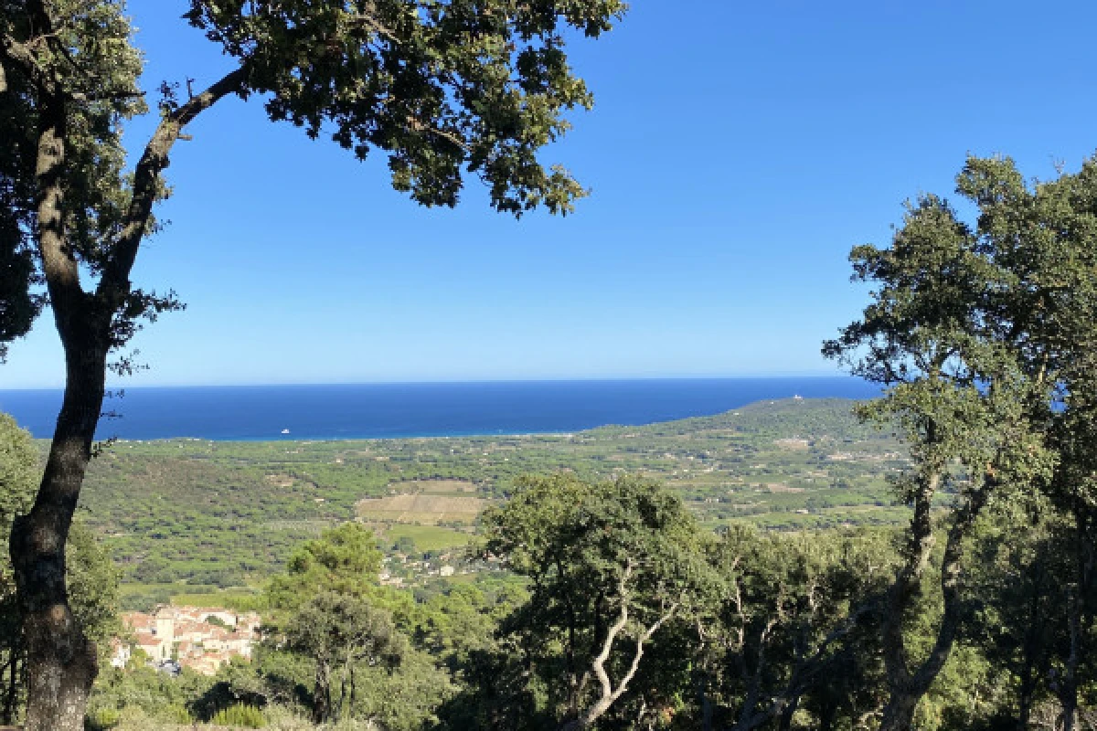 Tour privé : Excursion dans la région tropezienne en mehari ou 2CV - Bonjour Fun