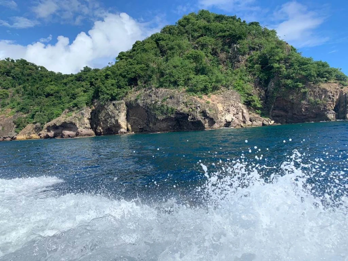 Tours des saintes : Speed Boat dans la Baie des Saintes - Bonjour Fun