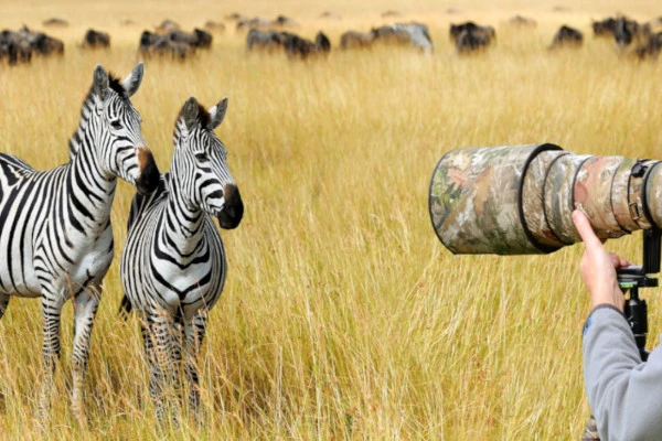 Ultimate Tanzanian Safari Adventure - Bonjour Fun