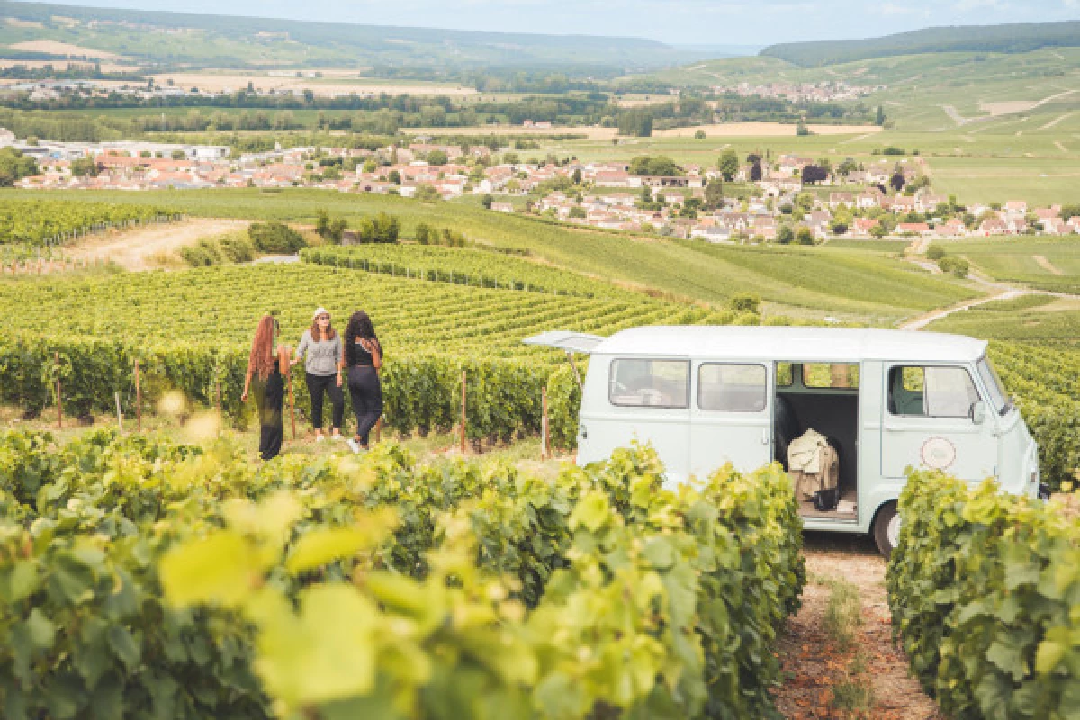 Une journée insolite en Champagne au départ d'Epernay - Bonjour Fun