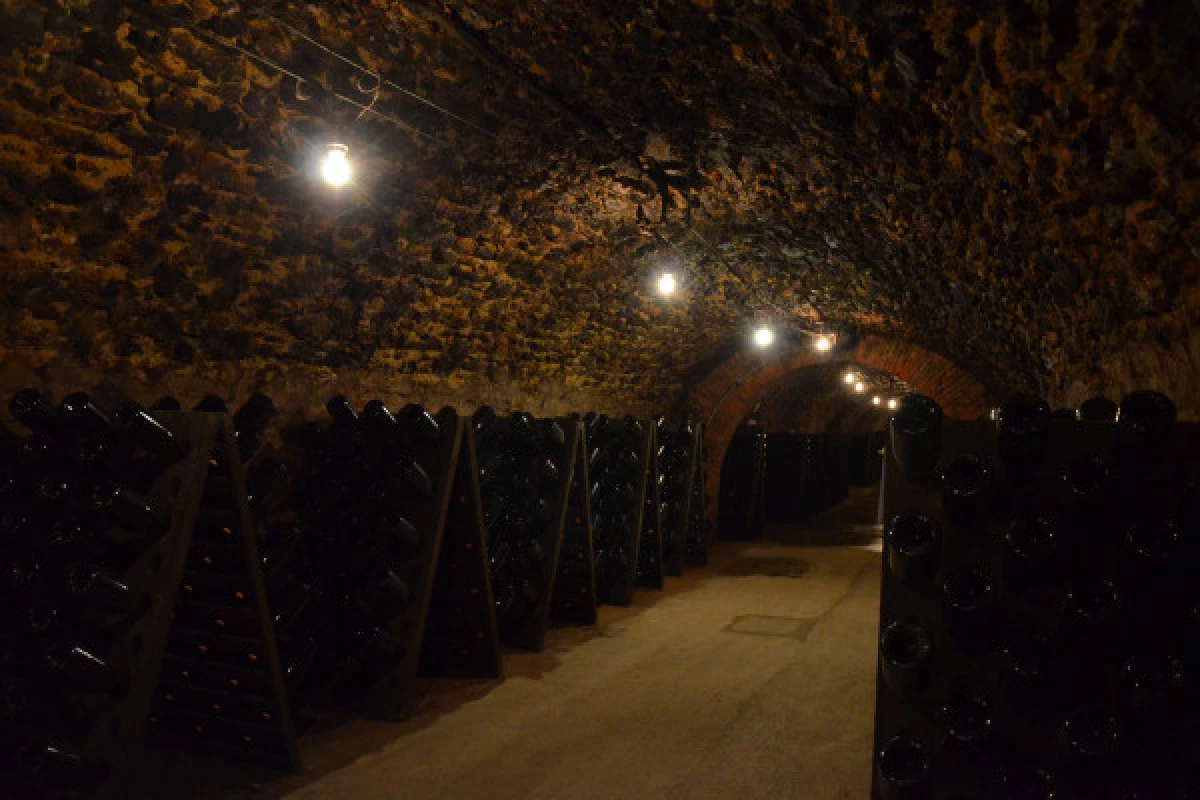 Une journée insolite en Champagne au départ d'Epernay - Bonjour Fun