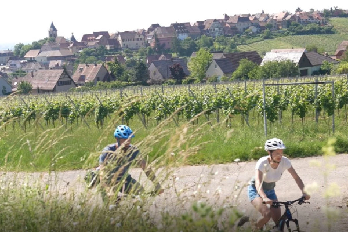 Vélo électrique, Pique-Nique & Vin - Bonjour Fun