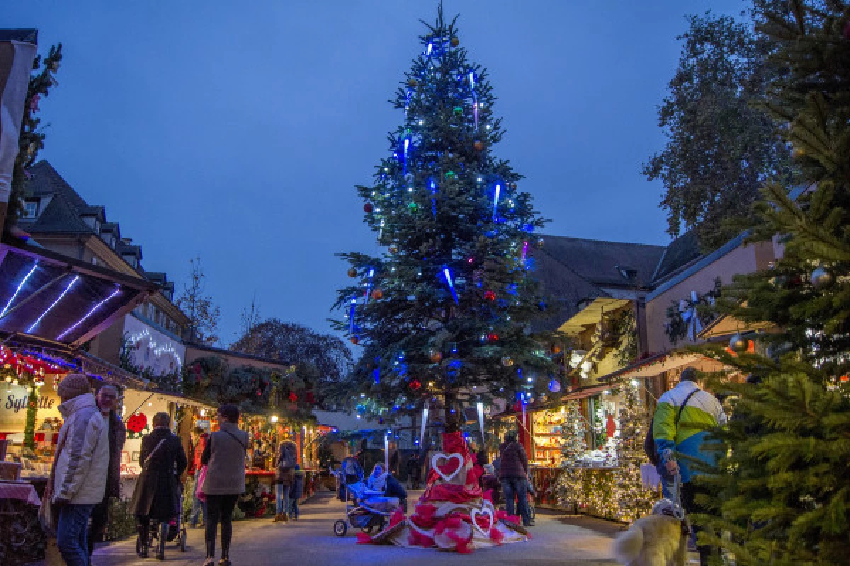 Villages Alsaciens et Marché de Noël de Colmar - Bonjour Fun