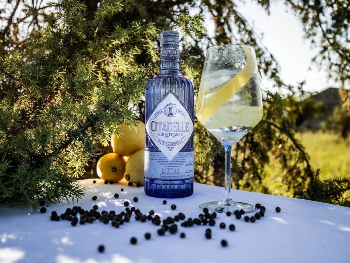 Visita de la destilería Citadelle Gin en Español - Bonjour Fun