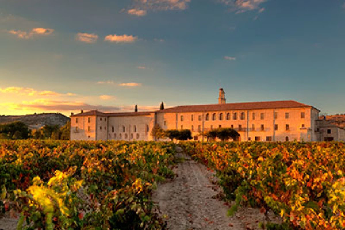 Private Ribera del Duero Tour with 2 Spectacular Wineries - Bonjour Fun