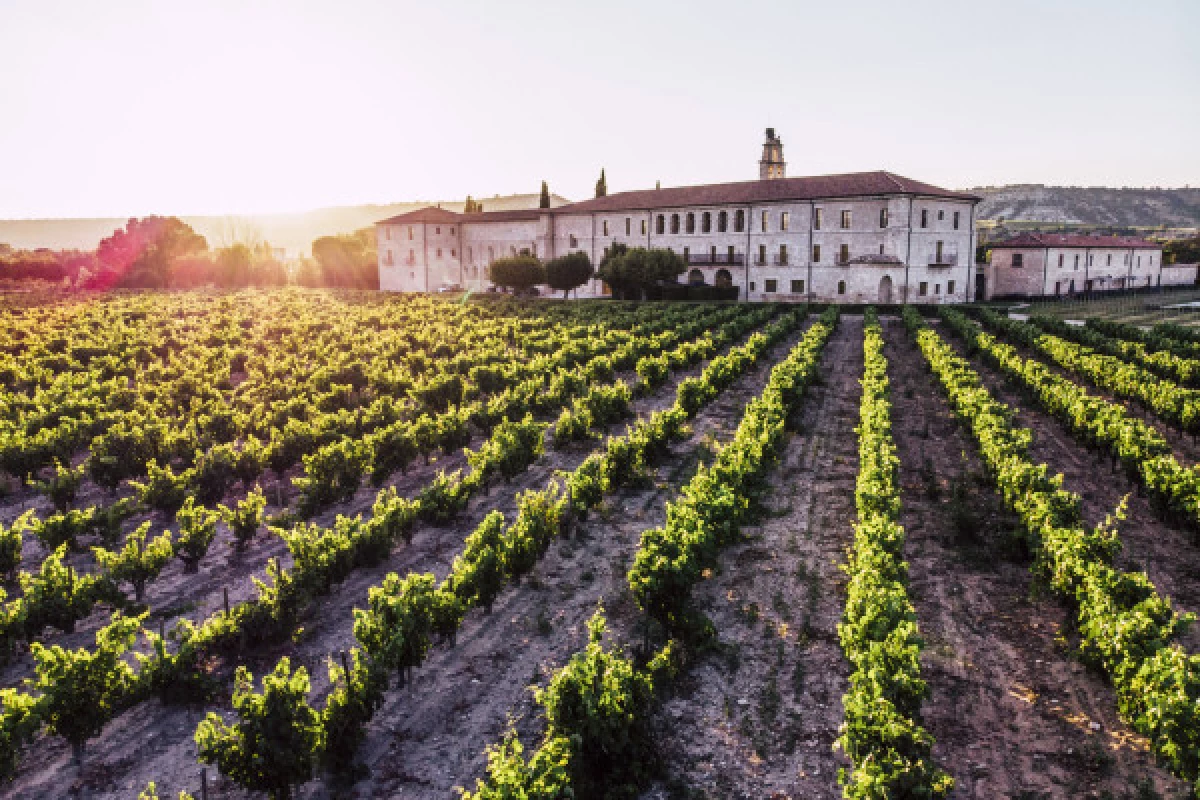 Private Ribera del Duero Tour with 2 Spectacular Wineries - Bonjour Fun