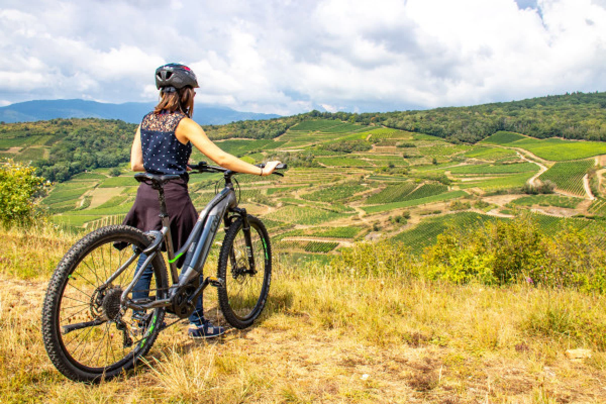 Visite audio-guidée du vignoble en VTT à assistance électrique. - Bonjour Fun