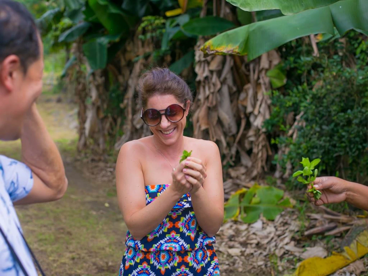 Visite Authentiques : Immersion dans  une Exploitation Agricole - Bonjour Fun