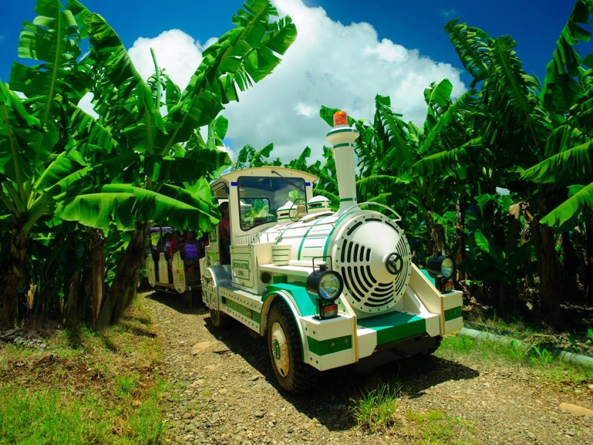 Excursion petit train en Martinique - Bonjour Fun