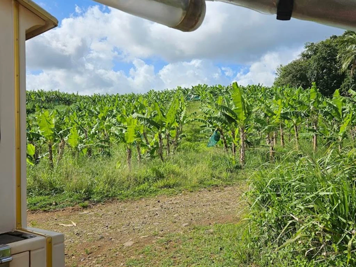 Excursion petit train en Martinique - Bonjour Fun