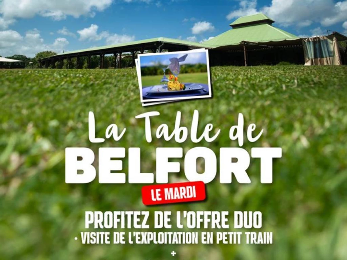 Excursion petit train en Martinique - Bonjour Fun