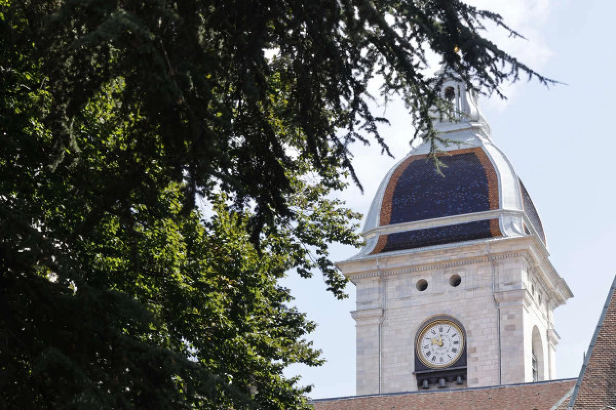 Visite courte : Besançon Ville haute - Bonjour Fun