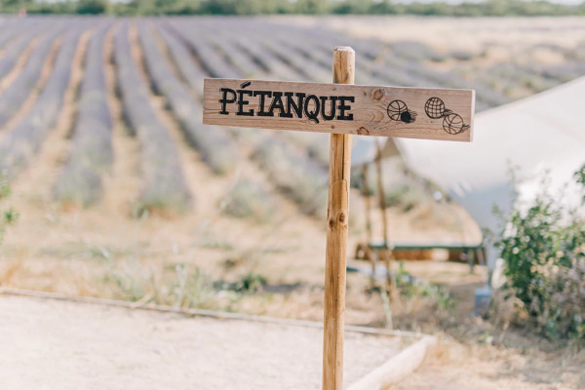 Visite d'un champ de Lavande Aix en Provence - Bonjour Fun