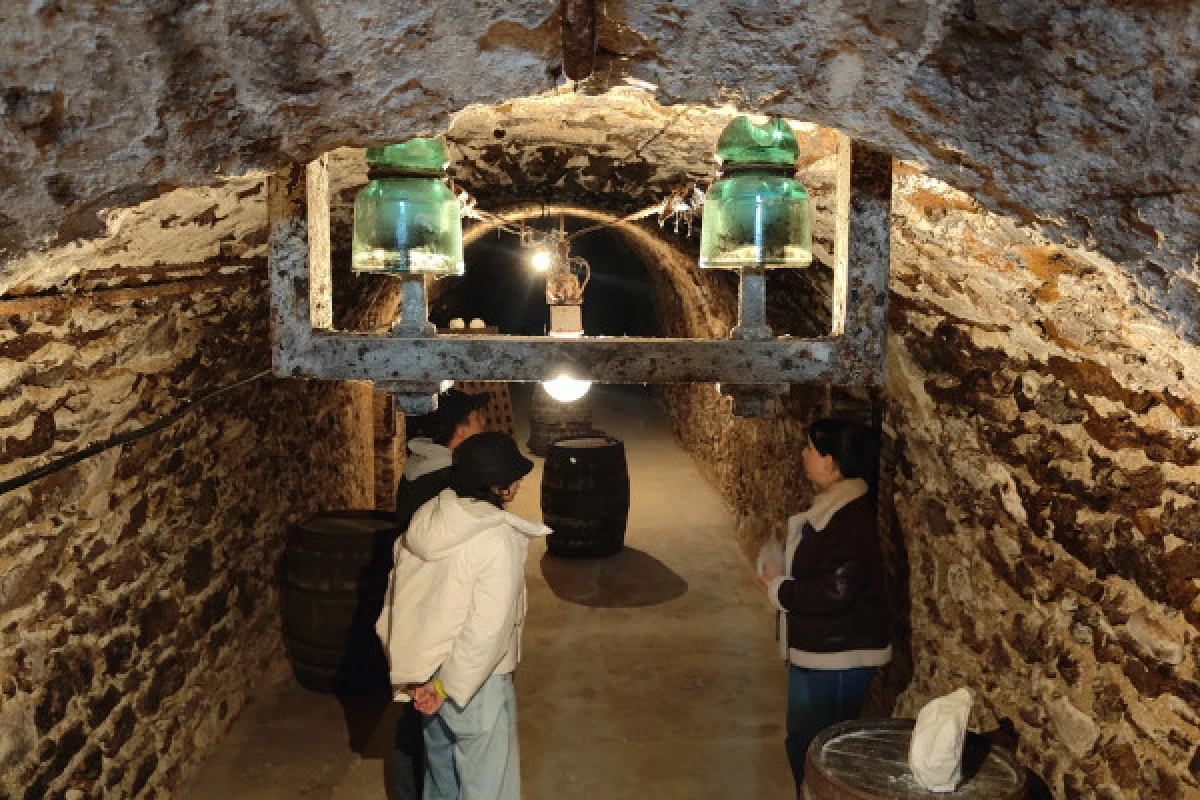 Visite de cave et balade dégsutation brut tradition. - Bonjour Fun