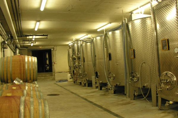 Visite de cave et découverte des vins d'Alsace - Bonjour Fun