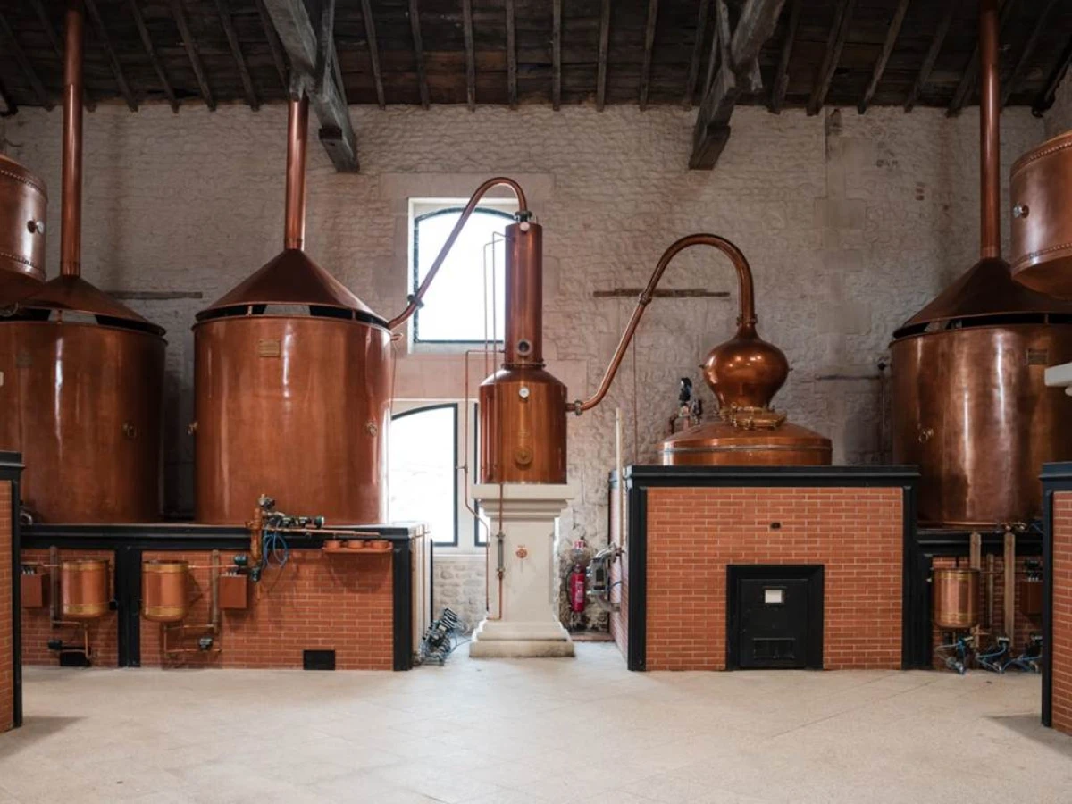 Visite de la Distillerie Citadelle Gin  en Français - Bonjour Fun