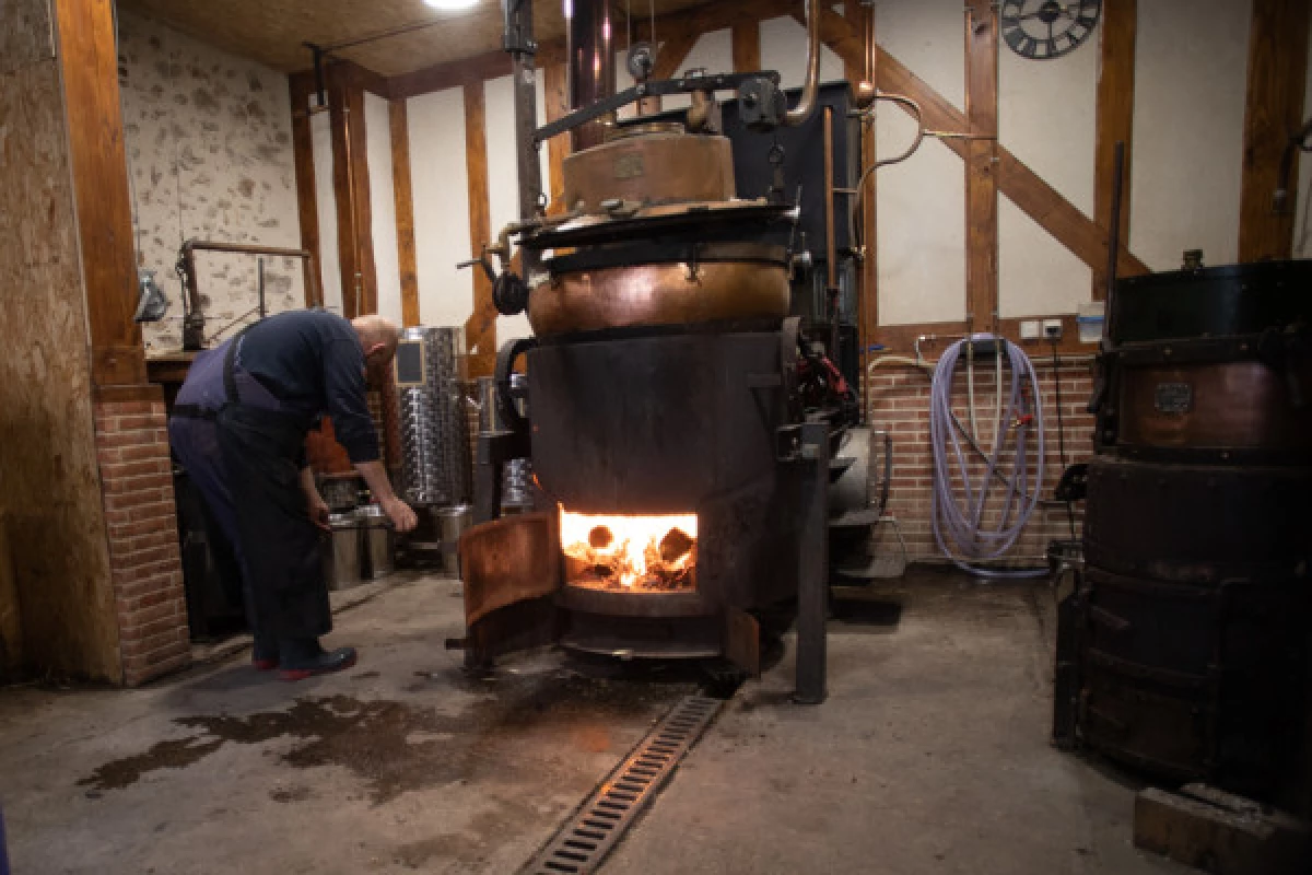 Visite de la distillerie - Bonjour Fun