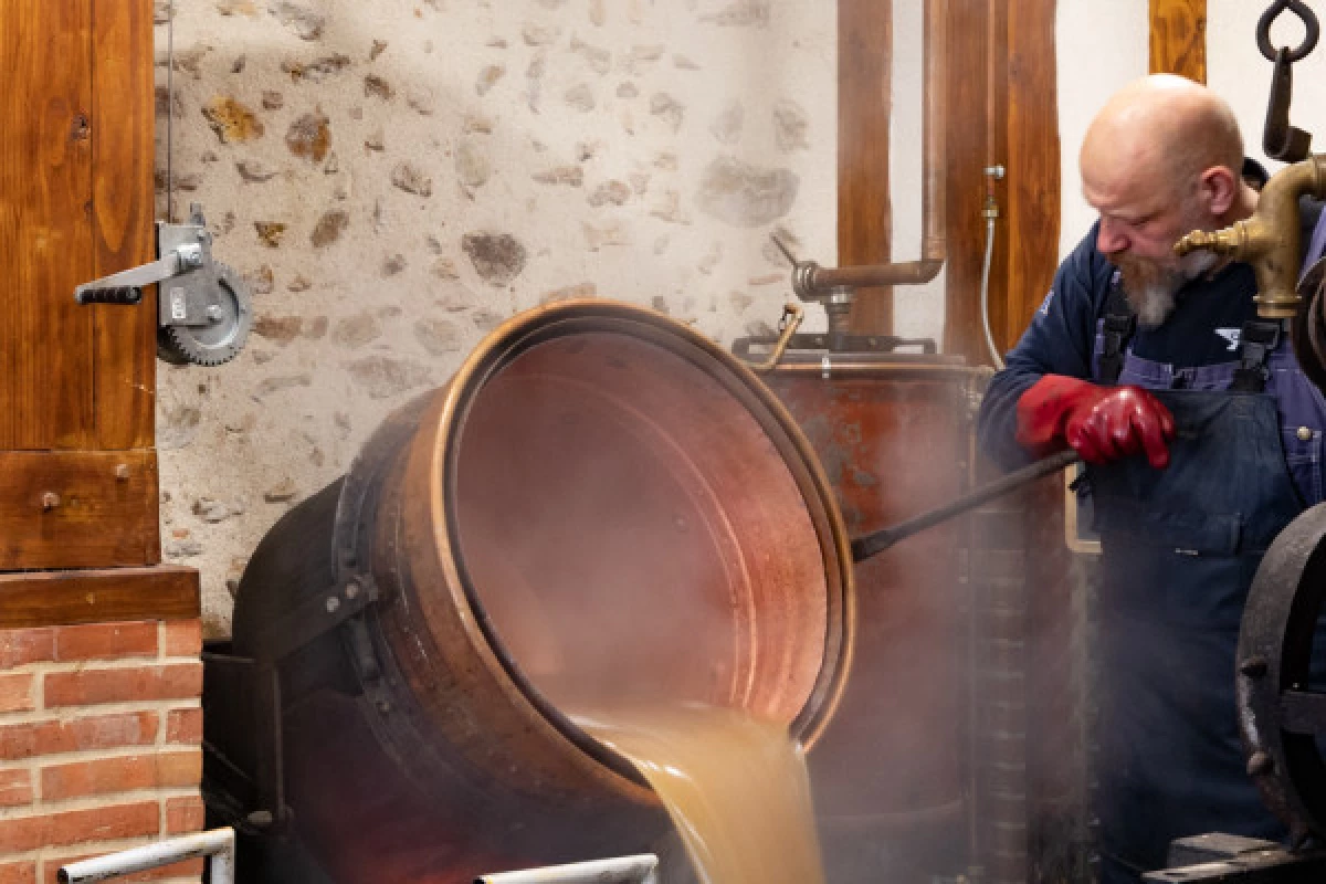 Visite de la distillerie - Bonjour Fun