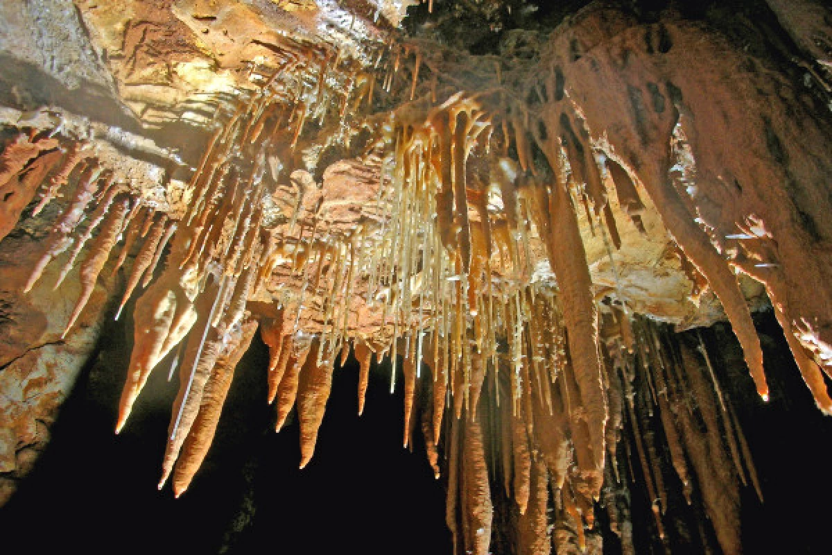 Visite de la grotte  - Bonjour Fun