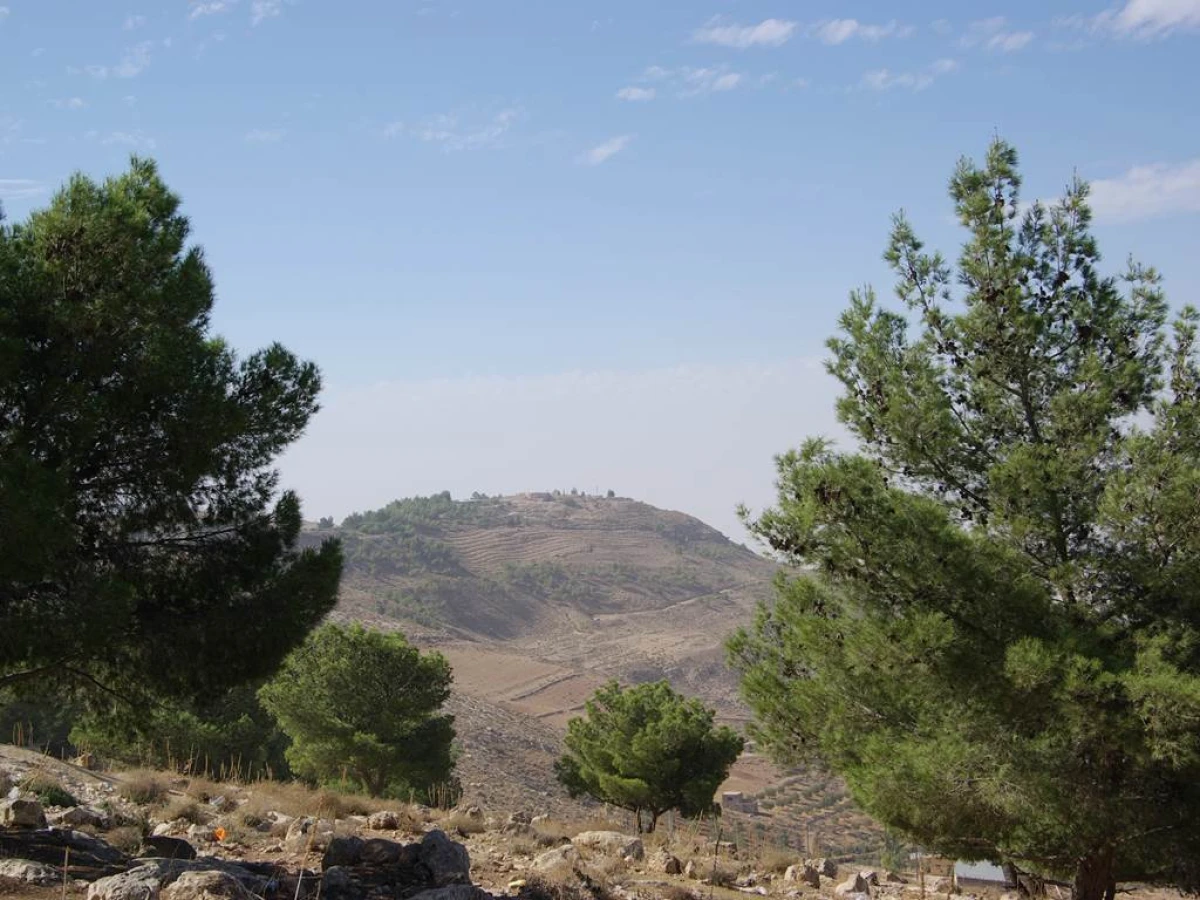 Visite de Mont Nebo et Madaba (Demi-journée autour de 70 km) - Bonjour Fun